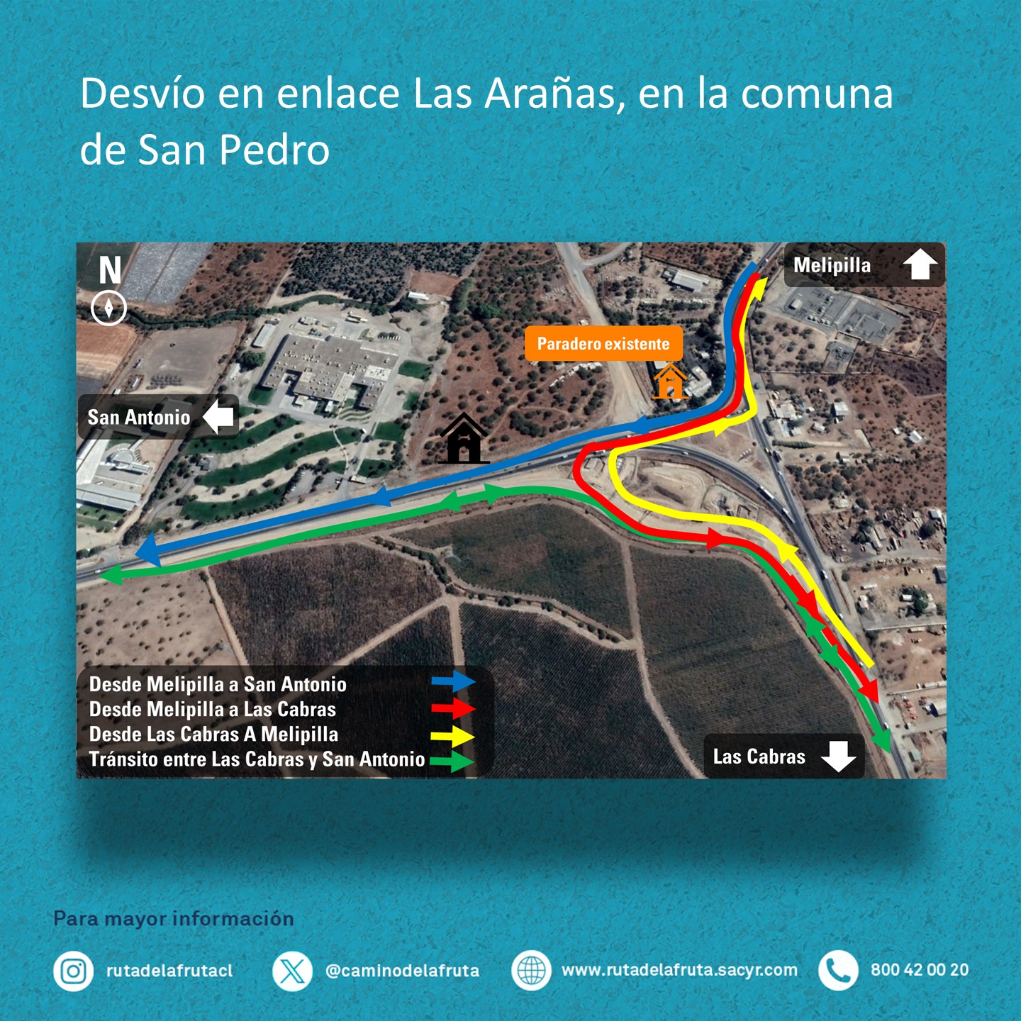las arañas 2.jpg