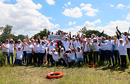 reforestación-piramides-tulancingo-pachuca_263X171.jpg